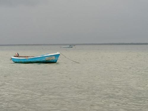 贾夫纳Malabar Beach Walk的蓝色的船坐在水中