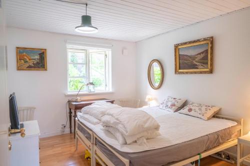 HavnsøSkortskær Bondegårdsferie的一间卧室配有一张床和一台电视