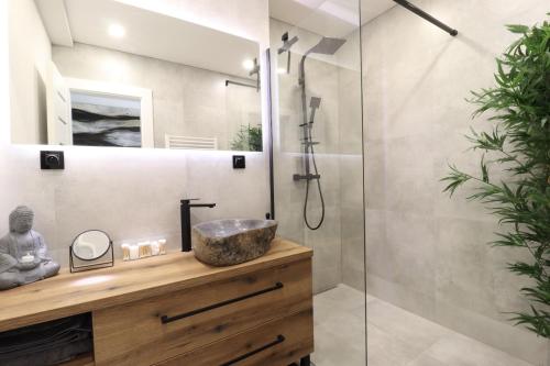 波普拉德MBV28 Apartments的一间带水槽和淋浴的浴室