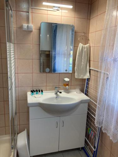 拜赖克菲尔德Vacsacsi vendégház的一间带水槽、镜子和淋浴的浴室