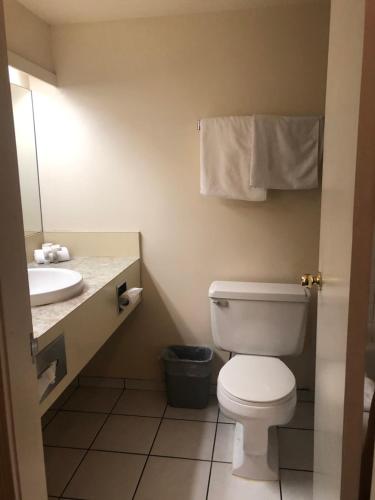 维多利亚岛屿观光旅馆的浴室配有白色卫生间和盥洗盆。