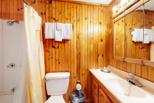 加特林堡Tweeting Brook的一间带卫生间、水槽和镜子的浴室