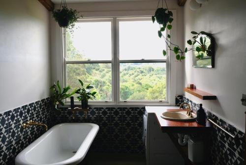 RosebankMesa Bus - Deluxe Byron Hinterland Eco Stay的带浴缸、水槽和窗户的浴室