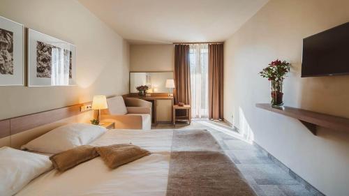 博德森特克欧里米尔温泉 - 布雷扎酒店的酒店客房设有床和客厅。