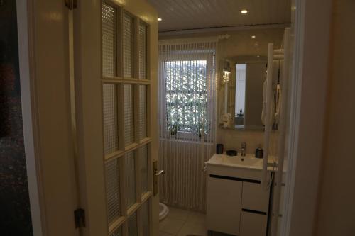 卡尼索Penthouse Ventur的一间带水槽、卫生间和镜子的浴室