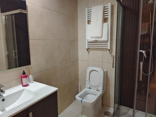 阿尔卡拉德荷那利斯Casa Jaime的一间带卫生间和水槽的浴室