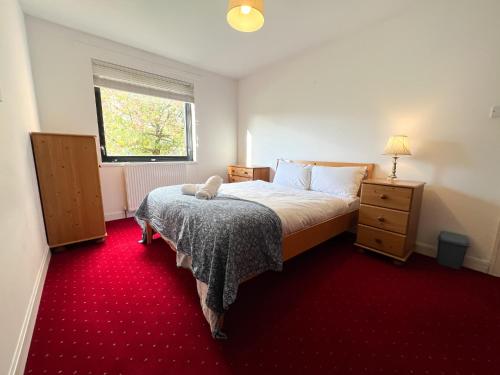 格拉斯哥Anniesland Glasgow 1bd Flat - Free Parking的一间卧室配有一张床,铺有红色地毯