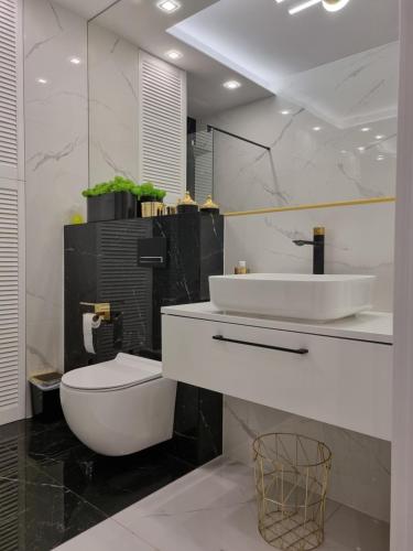 萨诺克Apartament Wyspiański的一间带卫生间和水槽的浴室