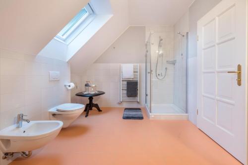 卡迪皮特拉Alpen Living - 2 Stock的一间带水槽、卫生间和淋浴的浴室