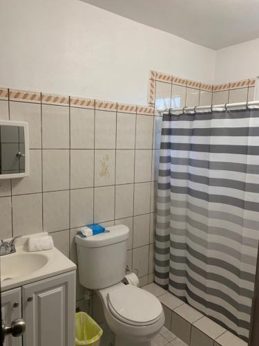 别克斯CRAB ISLAND ADVENTURES APARTMENTS的一间带卫生间和淋浴帘的浴室