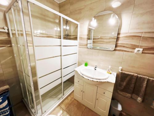 阿尔布费拉Apartamentos Roja Sol的一间带水槽和淋浴的浴室
