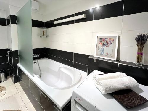 布拉格British Quarter Apartments的带浴缸和盥洗盆的浴室