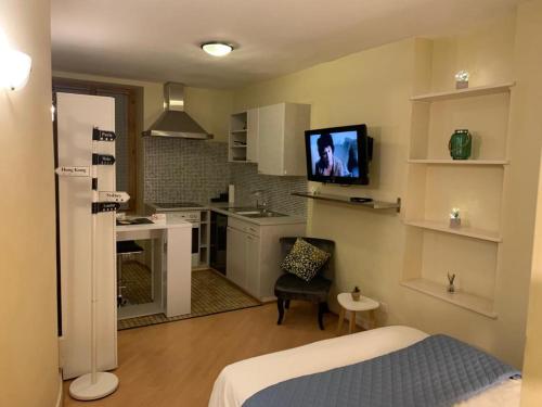 日内瓦迪泽伦斯旅馆公寓的一间带一张床的房间和一间带电视的厨房