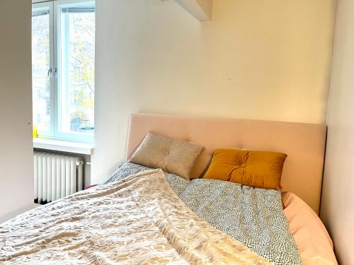 赫尔辛基Villa Centralen的卧室内的一张带两个枕头的床