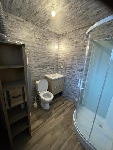 拉布雷斯Chalet Nala的浴室配有卫生间、盥洗盆和淋浴。