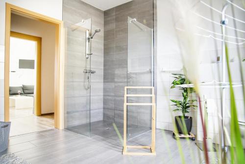 MönkebudeHaff Ostseeferienhaus unteres Apartment的浴室里设有玻璃门淋浴