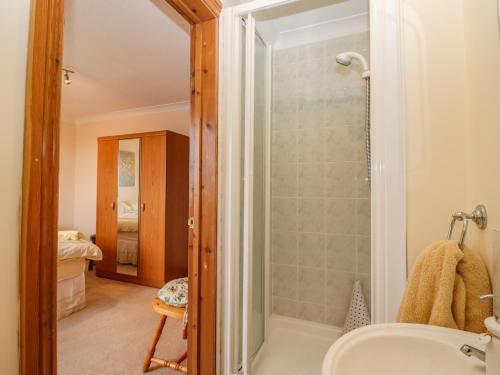 CinderfordCorner House的带淋浴和盥洗盆的浴室