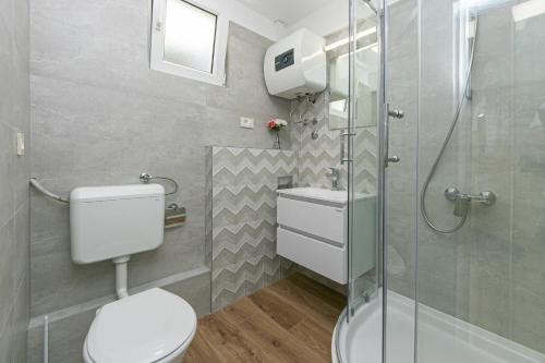 德朗西斯Apartments by the sea Drasnice, Makarska - 6652的一间带卫生间和玻璃淋浴间的浴室