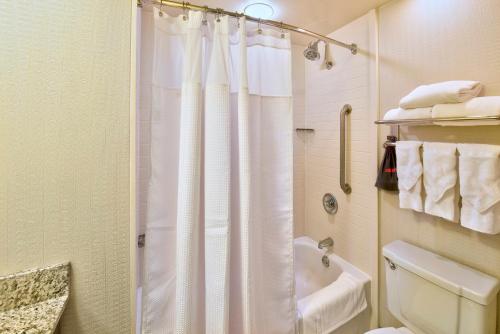 印第安纳波利斯印第安纳波利斯市中心联合车站皇冠假日酒店的带淋浴帘和卫生间的浴室