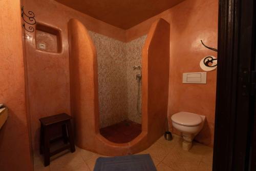 Zawyat OulmziTouda Ecolodge Atlas Mountains的浴室配有淋浴和卫生间。