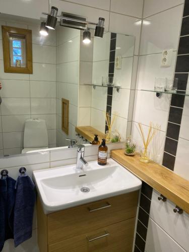 哈尔斯塔哈马Röda huset的浴室配有盥洗盆、镜子和浴缸