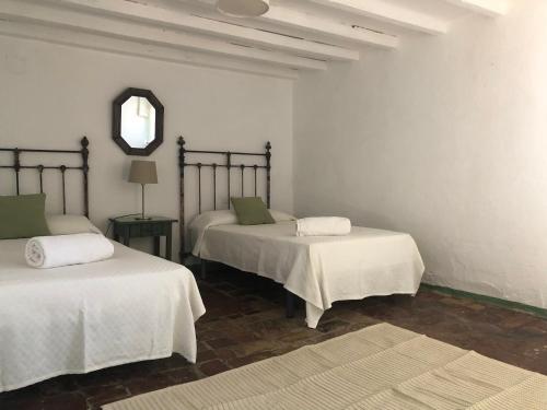 阿尔莫多瓦尔德尔里奥Casa del Almezo的一间设有两张床的客房和墙上的镜子