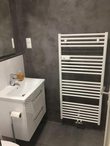 布伦瑞克Modern eingerichtetes Apartment Nähe Hauptbahnhof的浴室配有白色水槽和白色加热器