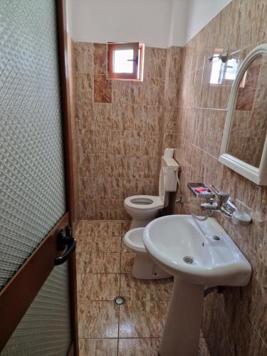 波格拉德茨Hotel Restaurant Savoja的一间带水槽、卫生间和镜子的浴室