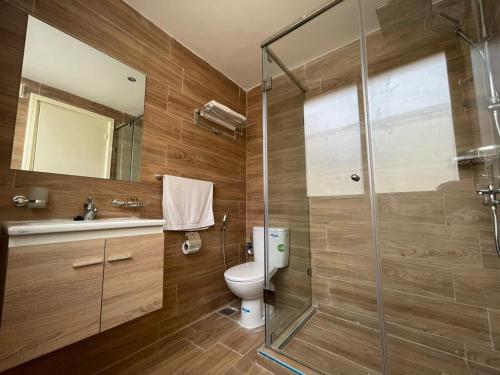 卡萨布兰卡阿斯托利亚酒店的一间带卫生间和玻璃淋浴间的浴室