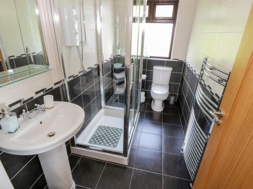 卡拉罗Aras Iosgan的浴室配有卫生间、盥洗盆和淋浴。