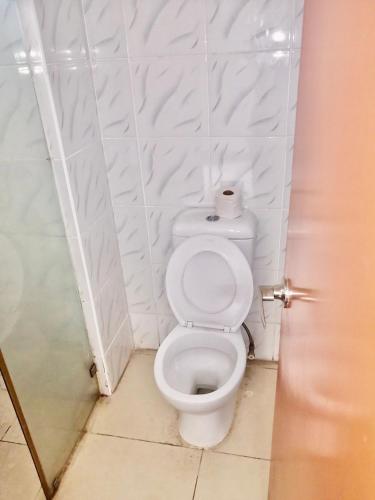 南迪Trans International Hotel的浴室位于隔间内,设有白色卫生间。