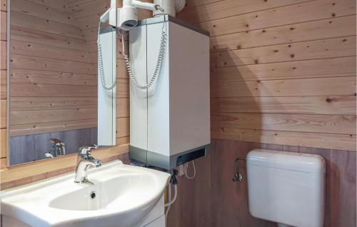 哈勒Stunning Home In Haller With Wifi的一间带水槽、镜子和卫生间的浴室