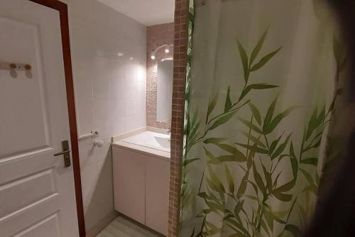圣马丁岛SeaBird Studio的浴室配有淋浴帘和盥洗盆。