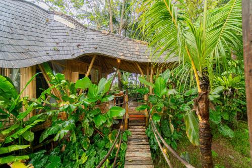 卡朗阿森Bird Hills Bamboo House的一条木路穿过丛林,木桥