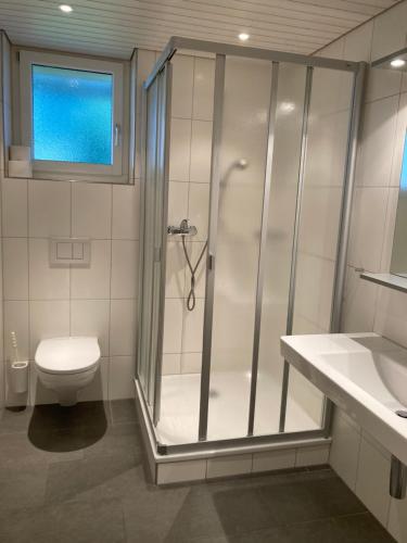 英格堡Engelberg Youth Hostel的带淋浴、卫生间和盥洗盆的浴室