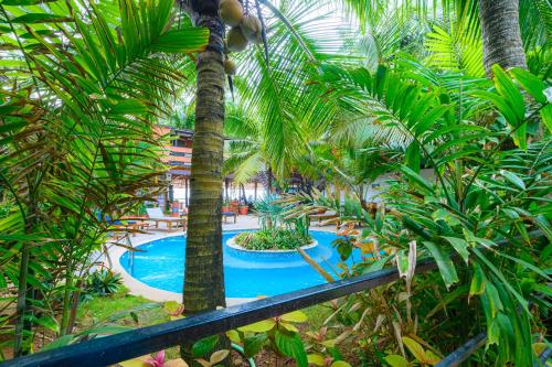 阿贡达Simrose的享有棕榈树度假村游泳池的空中景致