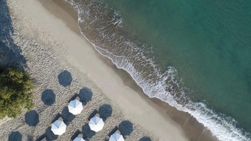 马斯蒂查里Neptune Luxury Resort的享有海滩和大海的上方景色