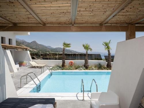 依拉佩特拉卡科斯海湾简易别墅酒店的享有棕榈树游泳池的景色