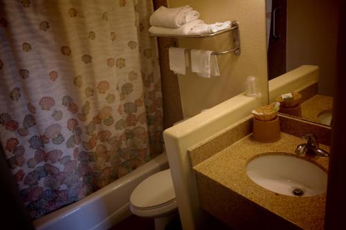 钱德勒钱德勒酒店的一间带水槽、卫生间和淋浴的浴室