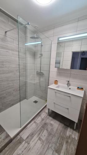 富瓦Un second souffle的带淋浴、盥洗盆和镜子的浴室