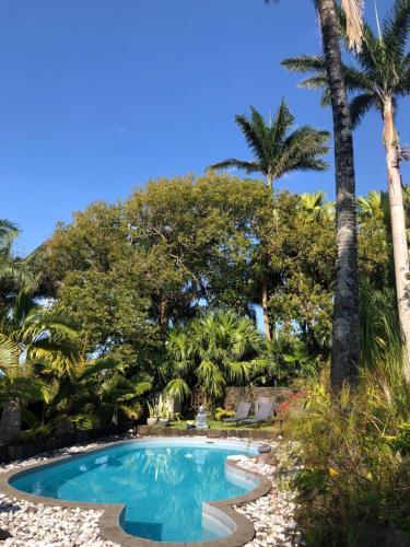 圣若瑟Les Grands Monts的一座棕榈树环绕的游泳池