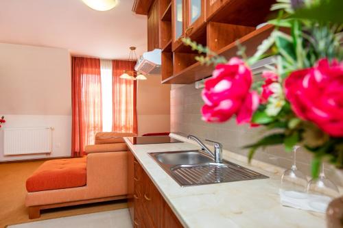日利纳波什酒店的厨房配有水槽和柜台上的红玫瑰