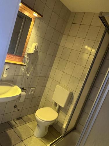 普里茨瓦尔克Hotel Ziegenkrug - Pritzwalk的一间带卫生间和水槽的浴室