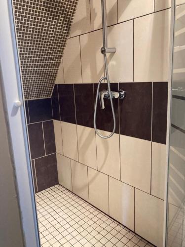 拉弗雷切Les Chambres du Roi的浴室铺有黑白瓷砖,设有淋浴。