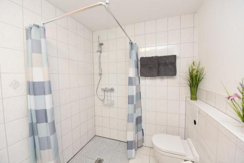 韦茨拉尔Ferienwohnung Emma的带淋浴和卫生间的浴室