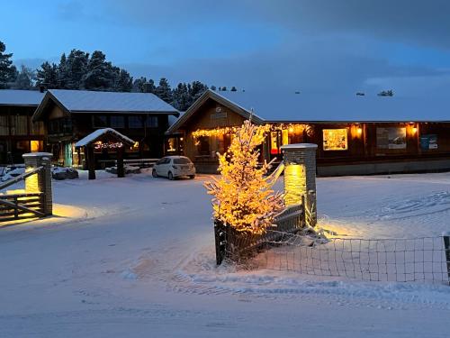 灵厄比Måsåplassen Friisvegen Mountain Lodge的建筑物前雪中的小树