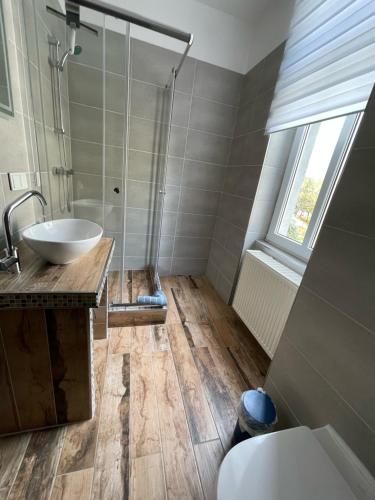 爱尔福特Gästehaus die Erfurter的浴室配有水槽和淋浴。