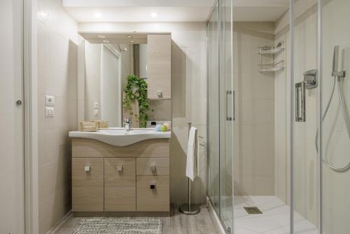 锡耶纳Siena Living Apartment的一间带水槽和淋浴的浴室