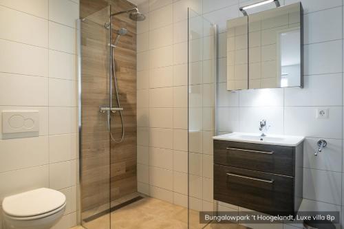 德科赫沪兰德简易别墅酒店的带淋浴、卫生间和盥洗盆的浴室