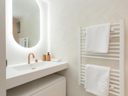 OrlitainTiny Fox Kluisbos的白色的浴室设有水槽和镜子